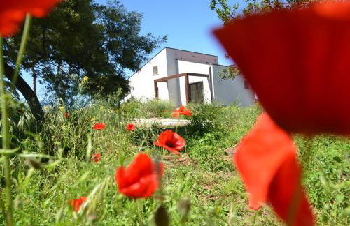 Le CaRaMeLle di Baratti - Foto 7
