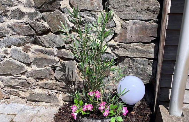 Large Group House with Welness Equipment & Swimming Pool near Malmédy - Foto 38