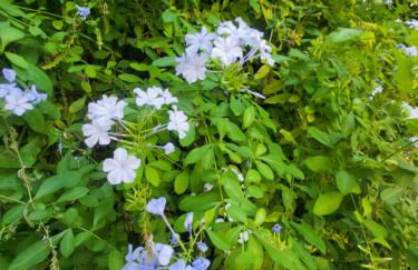 Un Raggio di Sole - Foto 27