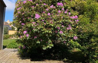 Villa en bois Perros-Guirec - GWEZ-ROZ - Foto 24