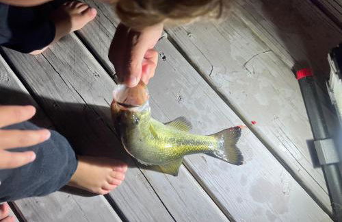 Conroe Lakefront Cottage - Foto 26