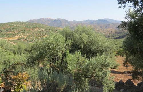 La Molina Del Olivar - Peaceful Location - Foto 14