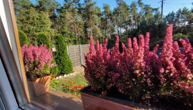 Dom Na Skarpie - Ucieczka Na Wieś - Samodzielne wejście na szyfr, 100m2 - Foto 2, Garden, Garden view