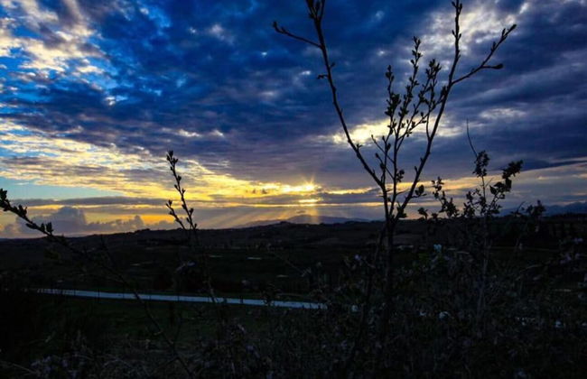 Farmhouse in Vinci's Time Capsule - Foto 31
