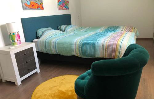 Superbe maison face a l ocean - Photo 2