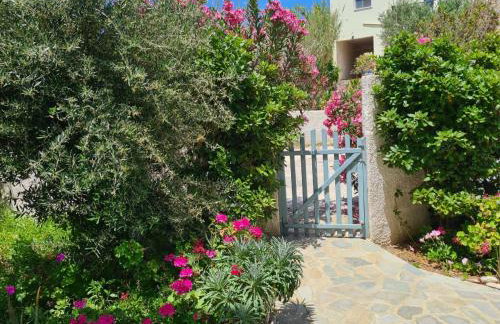 Villa Katerina Apartments - Foto 33