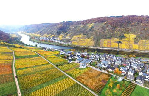 Ferienwohnungen Georg Andre Söhne - Foto 27