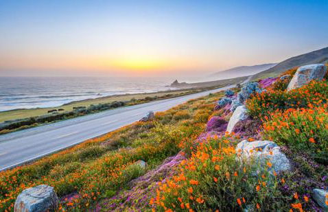 Russian River Bungalow - Foto 38