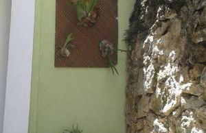 Maravilha de Angra - Foto 32