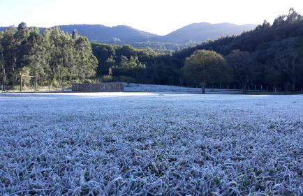 Quinta da Boa Vista São Chico - Foto 50