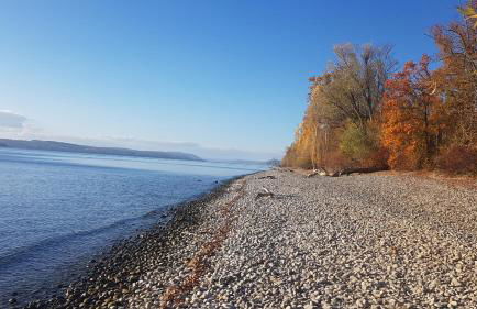 Historisches Fachwerkhaus "Hoher Hirschen" mit romantischem Hof und Garten - Charmantes Studio und grosses, museales Apartment - Foto 18