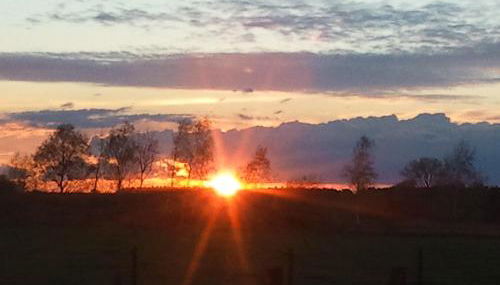 An der Heide - Foto 4