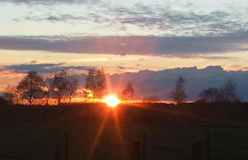 An der Heide - Foto 4