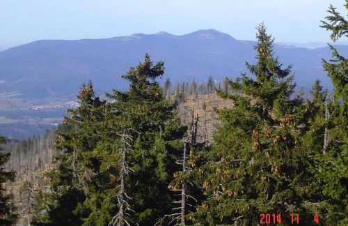 Ferienwohnung im Haus Christine - Foto 10