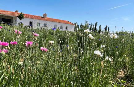 Monte de Palma- Quinta Biodinâmica Momentos Únicos - Foto 26