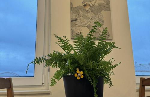 Ferienwohnung Auf Der Höll - Foto 8