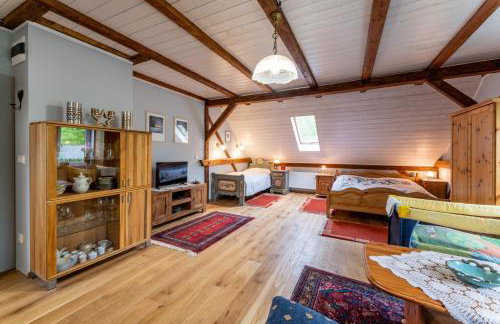 Agroturystyka Ziemia Obiecana - Foto 23