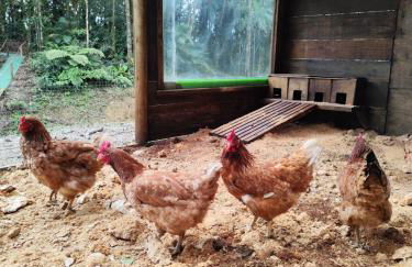 Cabanas - Sítio Refúgio do Barro Branco - Foto 34