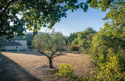 Villa La Jonche - Foto 33