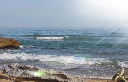 BAMBOU NATURE - Foto 1