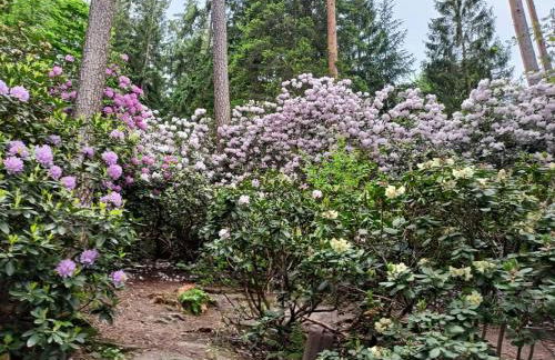 Ferienhaus Am Freibad - Photo 24