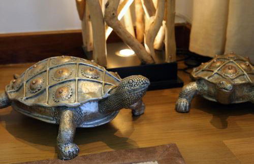 Rafina Splendor - Foto 48