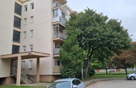 Laura Exclusive, dizajnerski uređen stan, izvrsno opremljen, self check-in - Foto 53