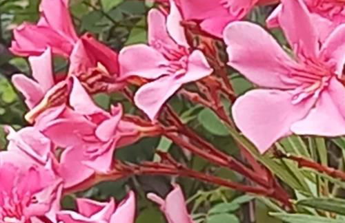 Residenza verdeazzurra - Foto 22