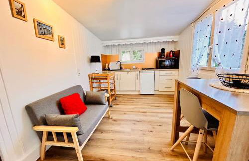 La mer poules proche plage - Foto 1