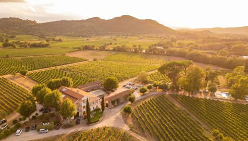 Gîte Vert d'olive au milieu des vignes - Château Les Apiès - Foto 3
