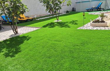 Alojamento Local Terreiro - Foto 24