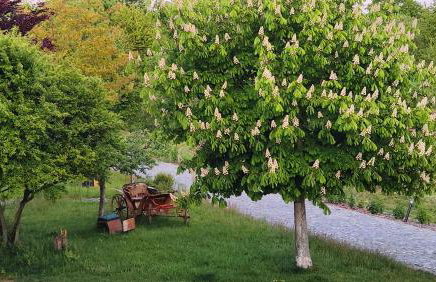 Ab 1 Pers HexenburgbeiDresden 2-geschossige Wohnung mit eigener Sauna, 2 Kaminen - Nähe Sächsische Schweiz Dresden - Foto 13