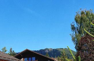 Arber Apartments - Zwieslerwaldhaus - Foto 6