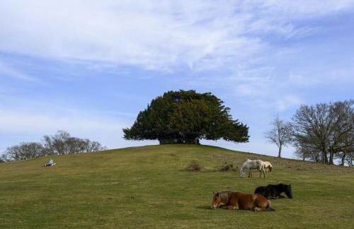 Wood Haven - Photo 61