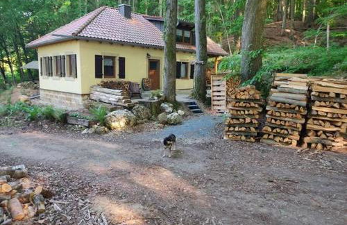 Holiday home Waldhaus Edelweiss - Foto 12