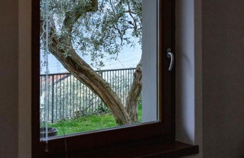 Ca de l'Angelon -- Vittoria house - Foto 33