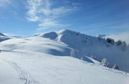 Appartements Le Clos des Gentianes - Foto 43