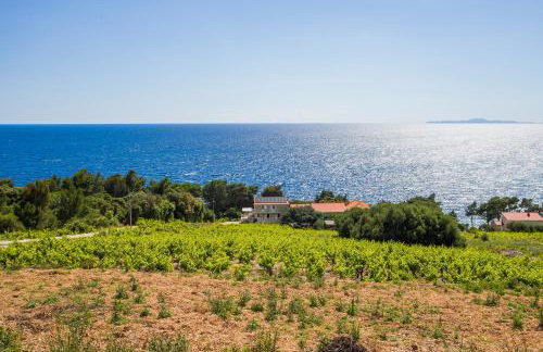 Family friendly seaside apartments Dingac - Borak, Peljesac - 18065 - Foto 3