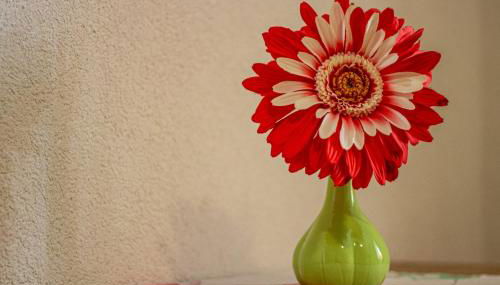 apartment fewo efosa - Foto 5