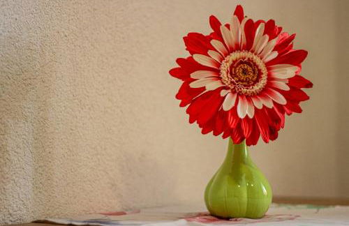 apartment fewo efosa - Foto 5