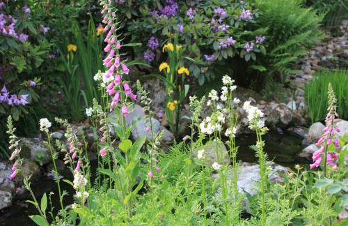 Gartentraum - Foto 34