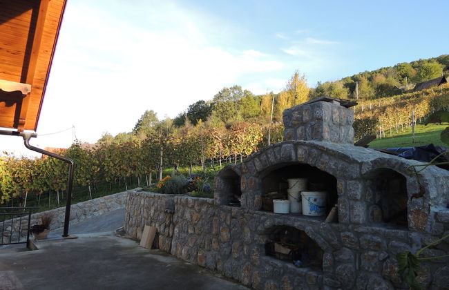 Vineyard cottage Pod piramido - Foto 22