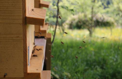 Berg Apartment Vajolet - Unterweger Berg Apartments - Foto 31