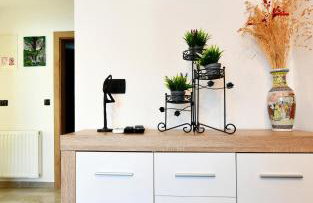 Apartmani Brium - Foto 10