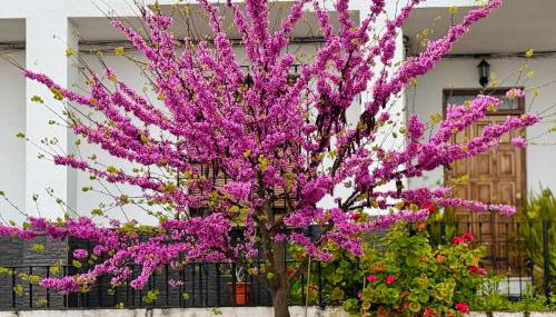 Casa Mirasierra - Foto 4