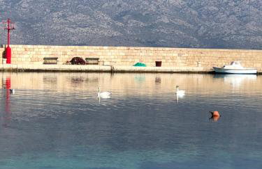 Miro Apartmani - Photo 58