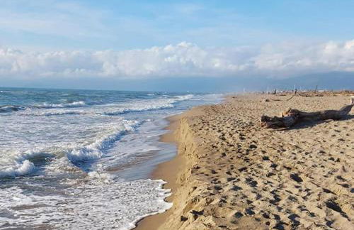 I Levrieri Venezia - Foto 47