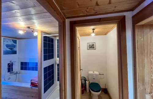 Appartement spacieux proche des télécabines et du centre ville avec jardin privé - Foto 16