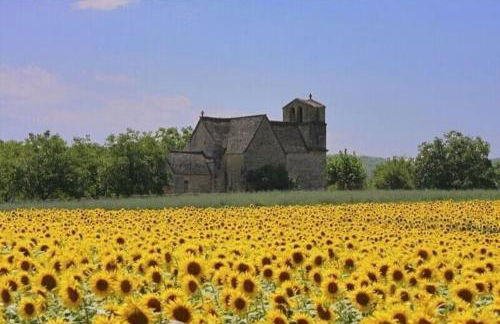 Le Clos de Saint-Martial, Saint-Martial-de-Nabirat - Foto 24