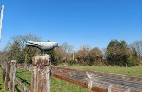 Les gallinettes - Photo 12